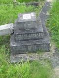 image of grave number 313946